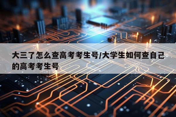 大三了怎么查高考考生号/大学生如何查自己的高考考生号