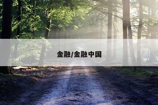 金融/金融中国