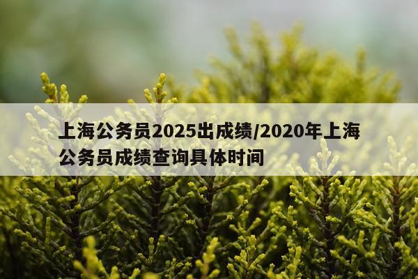 上海公务员2025出成绩/2020年上海公务员成绩查询具体时间