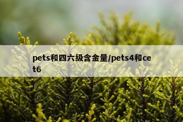 pets和四六级含金量/pets4和cet6