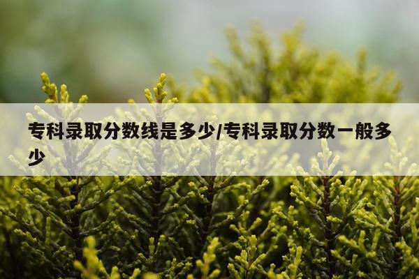 专科录取分数线是多少/专科录取分数一般多少