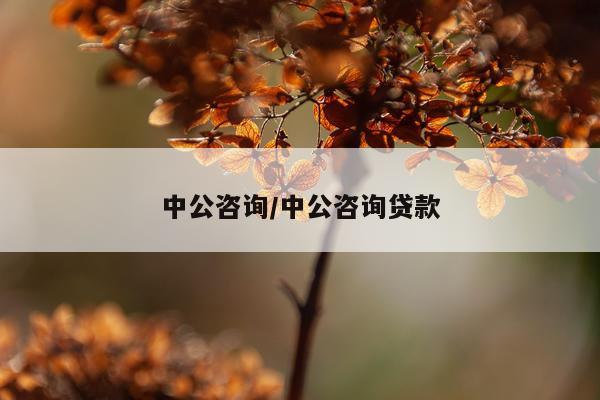 中公咨询/中公咨询贷款