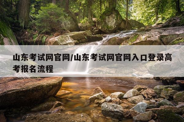 山东考试网官网/山东考试网官网入口登录高考报名流程