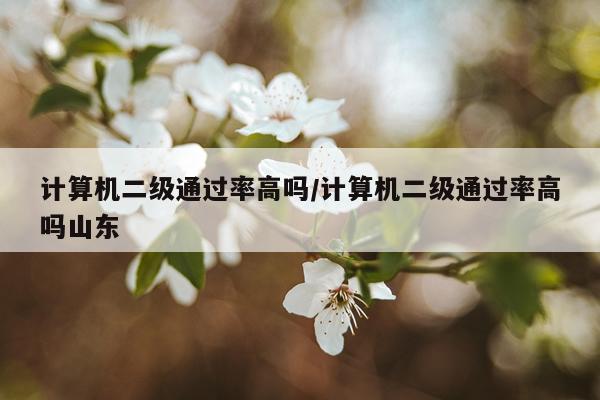 计算机二级通过率高吗/计算机二级通过率高吗山东
