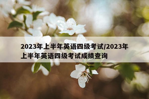 2023年上半年英语四级考试/2023年上半年英语四级考试成绩查询