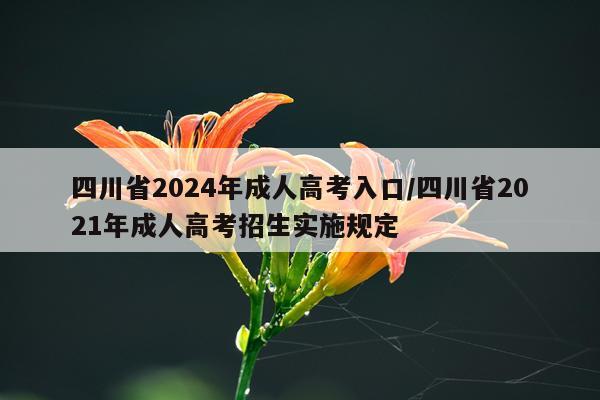 四川省2024年成人高考入口/四川省2021年成人高考招生实施规定
