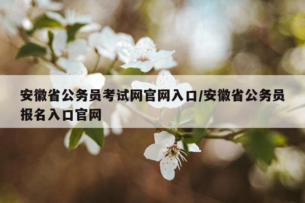 安徽省公务员考试网官网入口/安徽省公务员报名入口官网