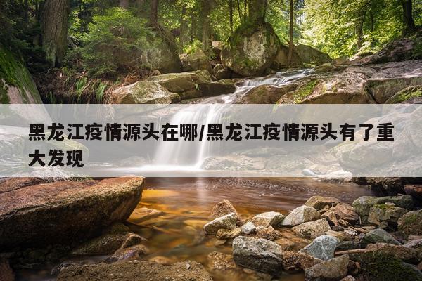黑龙江疫情源头在哪/黑龙江疫情源头有了重大发现