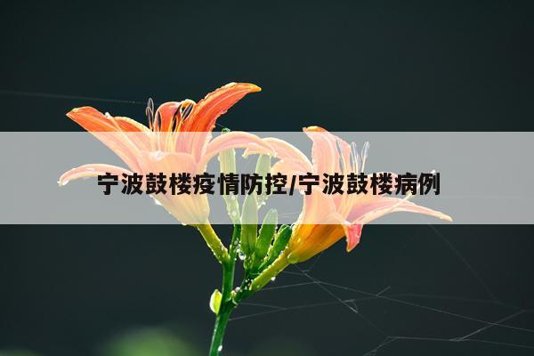 宁波鼓楼疫情防控/宁波鼓楼病例