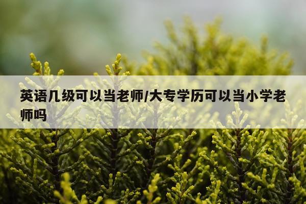 英语几级可以当老师/大专学历可以当小学老师吗