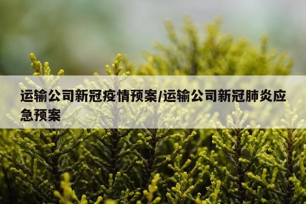 运输公司新冠疫情预案/运输公司新冠肺炎应急预案
