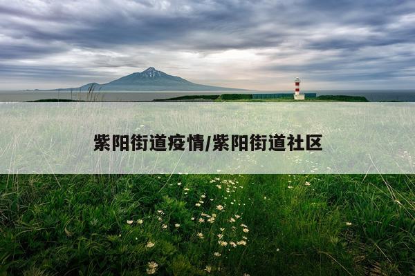 紫阳街道疫情/紫阳街道社区