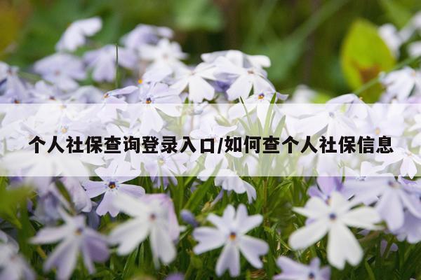 个人社保查询登录入口/如何查个人社保信息