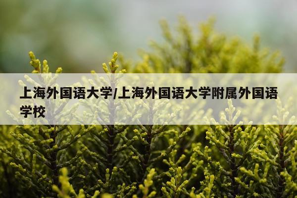上海外国语大学/上海外国语大学附属外国语学校