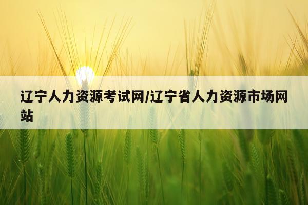 辽宁人力资源考试网/辽宁省人力资源市场网站