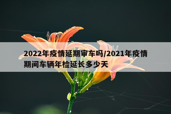 2022年疫情延期审车吗/2021年疫情期间车辆年检延长多少天