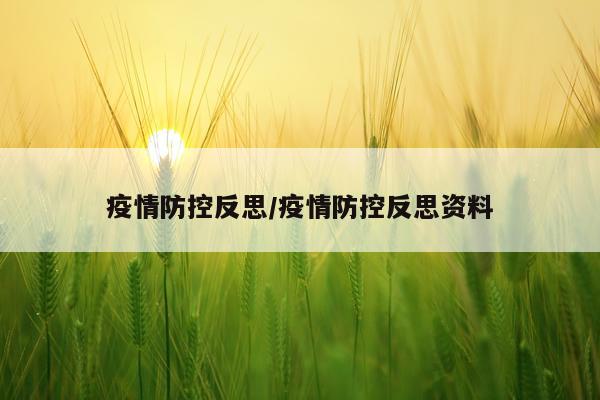 疫情防控反思/疫情防控反思资料