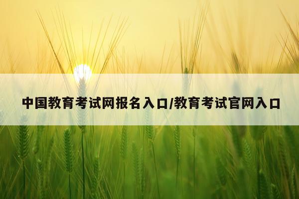 中国教育考试网报名入口/教育考试官网入口
