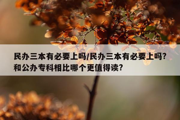 民办三本有必要上吗/民办三本有必要上吗?和公办专科相比哪个更值得读?