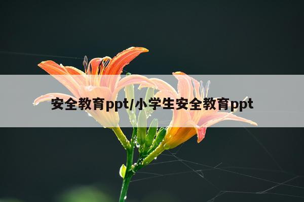 安全教育ppt/小学生安全教育ppt