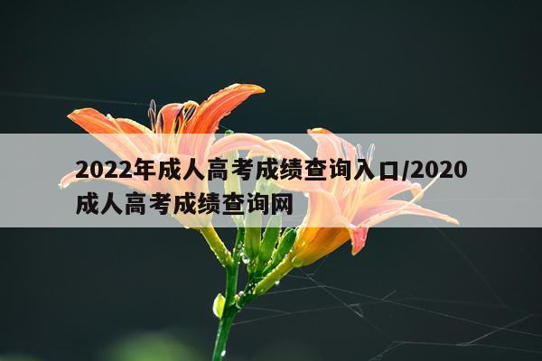 2022年成人高考成绩查询入口/2020成人高考成绩查询网