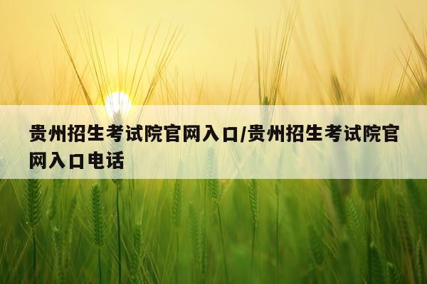 贵州招生考试院官网入口/贵州招生考试院官网入口电话