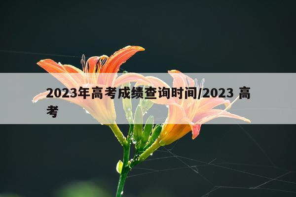 2023年高考成绩查询时间/2023 高考