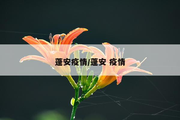 蓬安疫情/蓬安 疫情