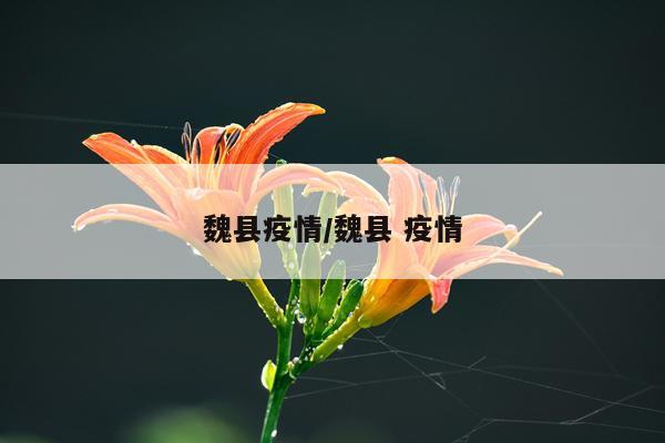 魏县疫情/魏县 疫情