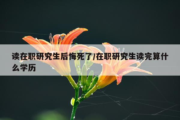 读在职研究生后悔死了/在职研究生读完算什么学历