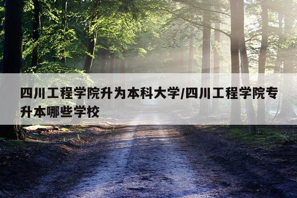 四川工程学院升为本科大学/四川工程学院专升本哪些学校