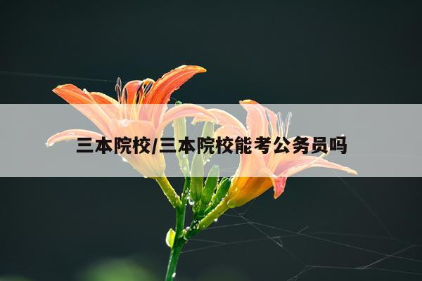 三本院校/三本院校能考公务员吗