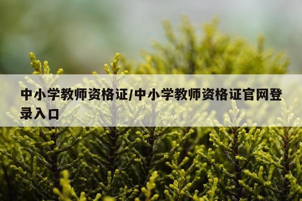 中小学教师资格证/中小学教师资格证官网登录入口