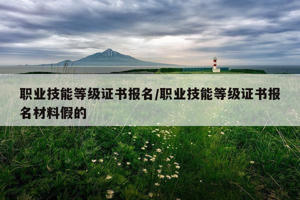 职业技能等级证书报名/职业技能等级证书报名材料假的