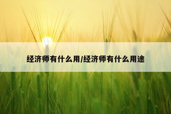经济师有什么用/经济师有什么用途