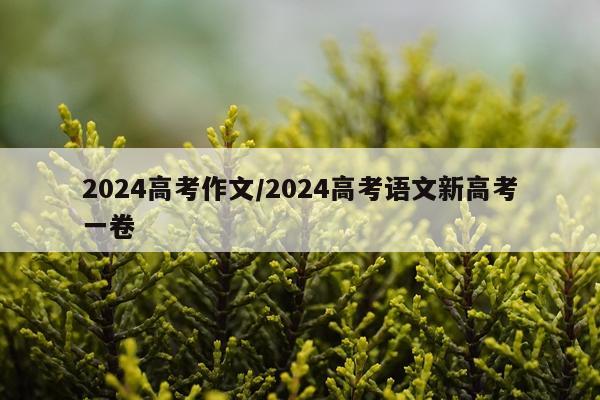 2024高考作文/2024高考语文新高考一卷