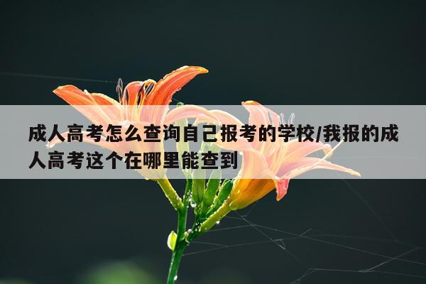 成人高考怎么查询自己报考的学校/我报的成人高考这个在哪里能查到