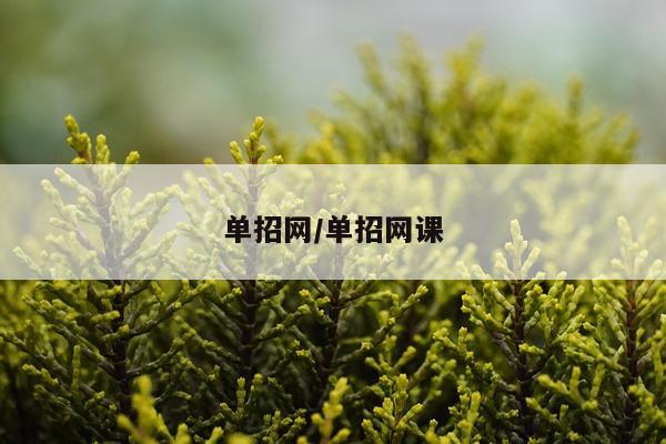 单招网/单招网课