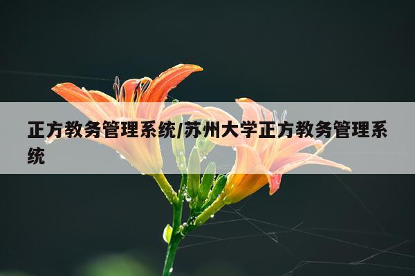 正方教务管理系统/苏州大学正方教务管理系统