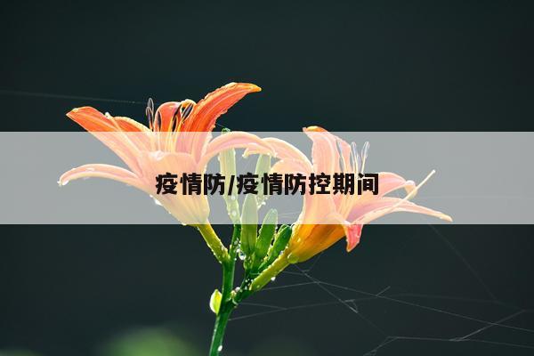疫情防/疫情防控期间