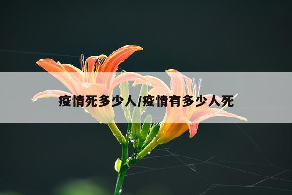 疫情死多少人/疫情有多少人死