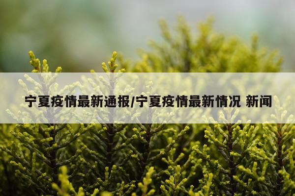 宁夏疫情最新通报/宁夏疫情最新情况 新闻