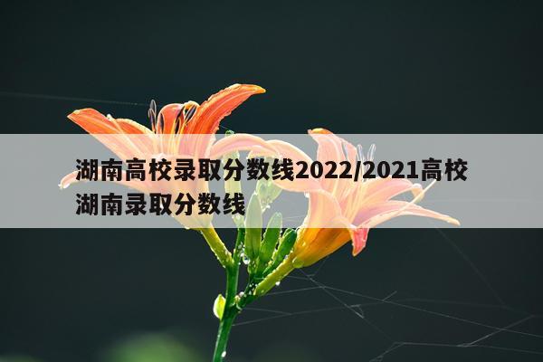 湖南高校录取分数线2022/2021高校湖南录取分数线