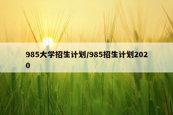 985大学招生计划/985招生计划2020