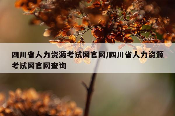 四川省人力资源考试网官网/四川省人力资源考试网官网查询