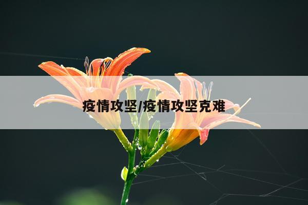 疫情攻坚/疫情攻坚克难