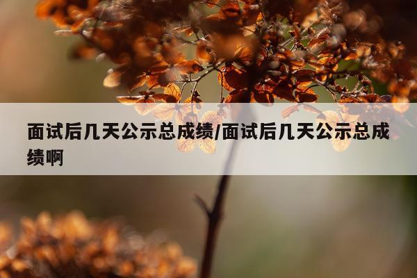 面试后几天公示总成绩/面试后几天公示总成绩啊