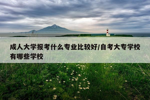 成人大学报考什么专业比较好/自考大专学校有哪些学校