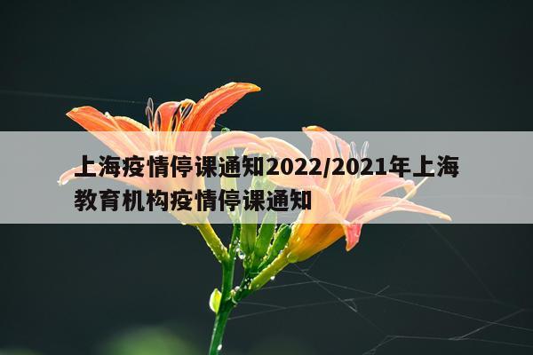 上海疫情停课通知2022/2021年上海教育机构疫情停课通知