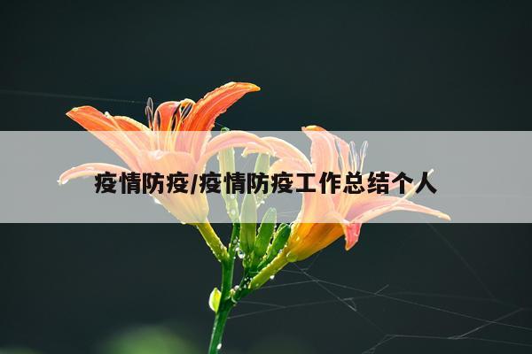 疫情防疫/疫情防疫工作总结个人